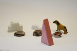 Block Woman surveys 3 piles of coins next to 3 objects: a building; a car; a dog.